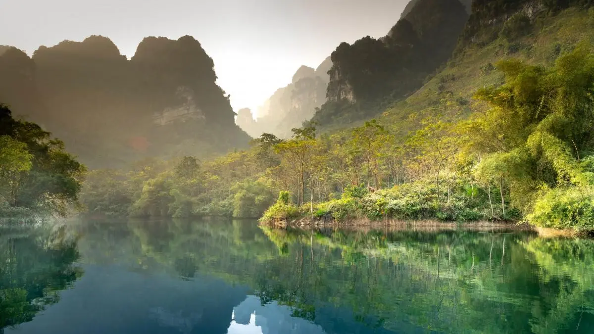 高端绿色